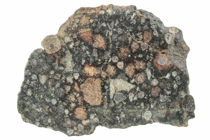 Chondrite Meteorite Section ( g) - NWA #271643
